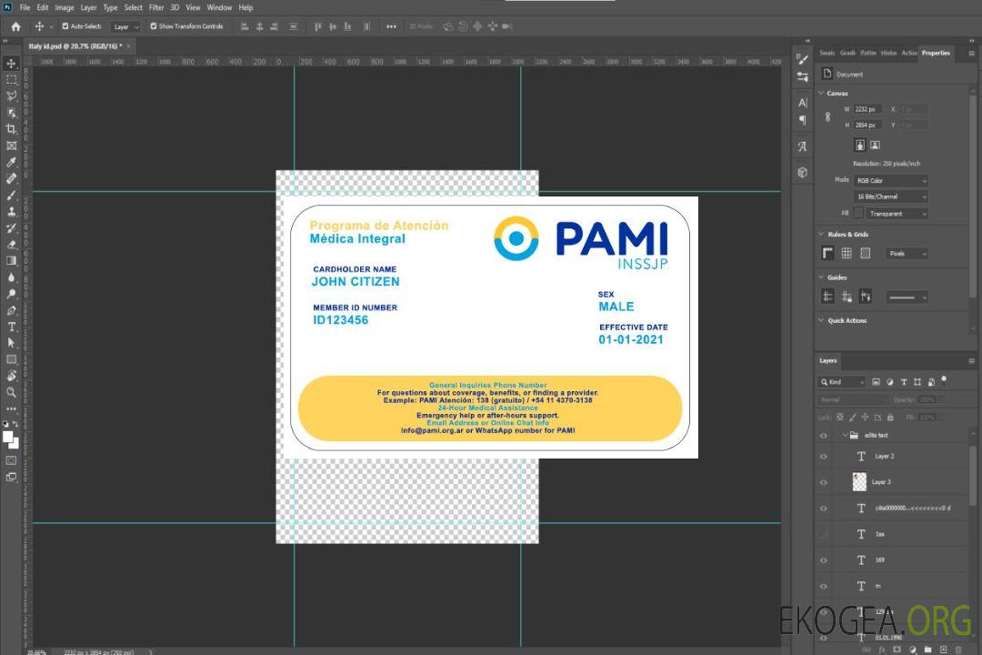 Carte d'assurance maladie PAMI d'Argentine template